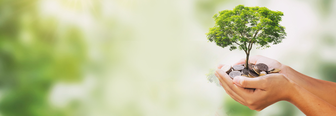 Fixed Deposit Scheme